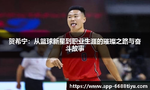 贺希宁：从篮球新星到职业生涯的璀璨之路与奋斗故事